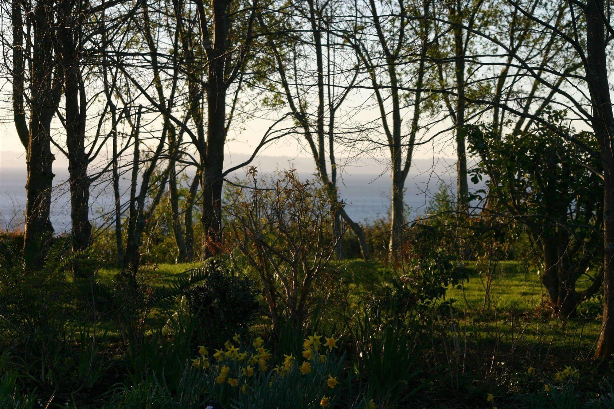 Noi Caiquenes Hotel Puerto Varas